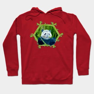 panda Hoodie